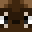 coati__